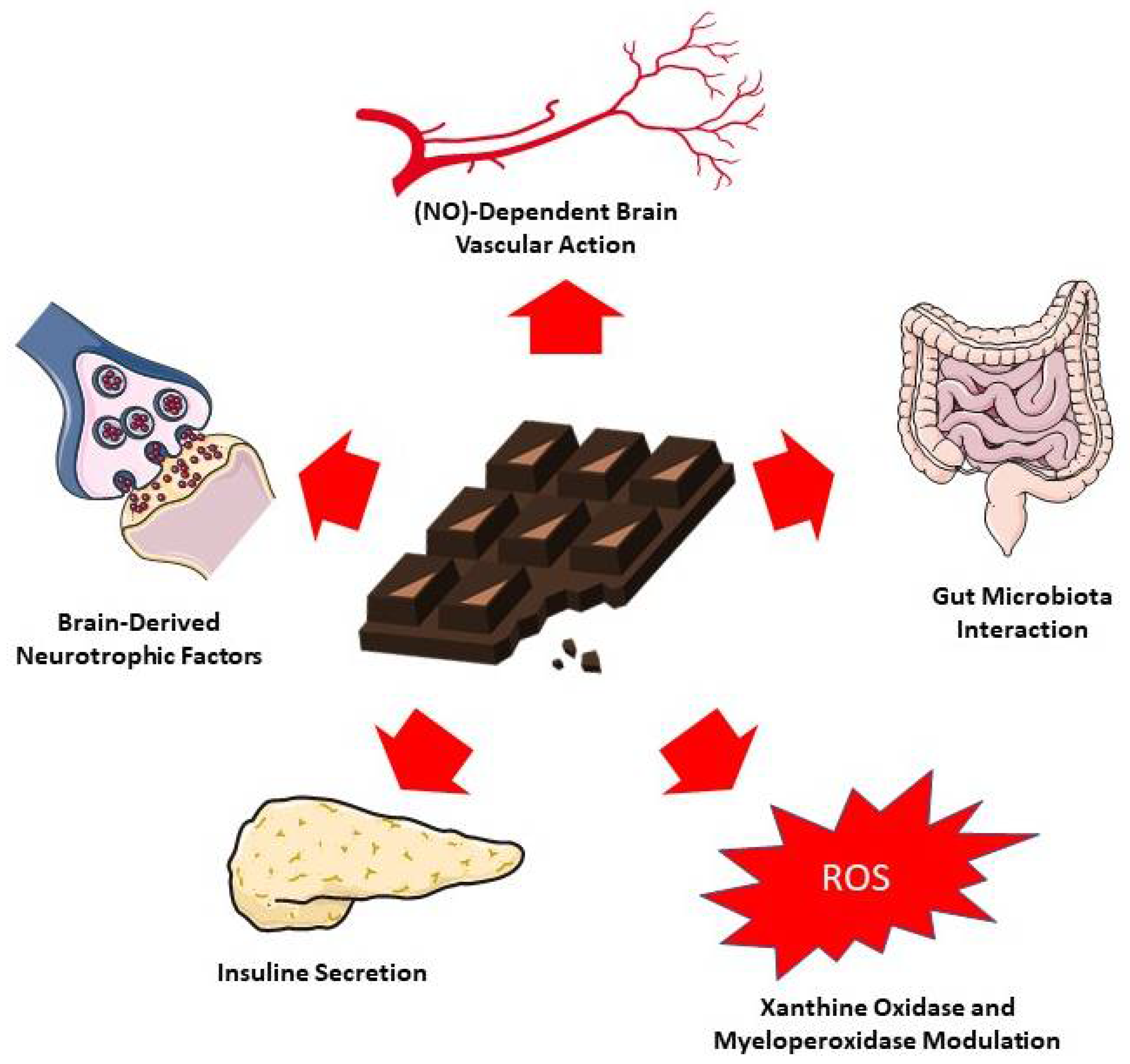 Cacao Image
